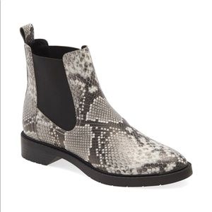 Treasure & Bond Black - White Snake